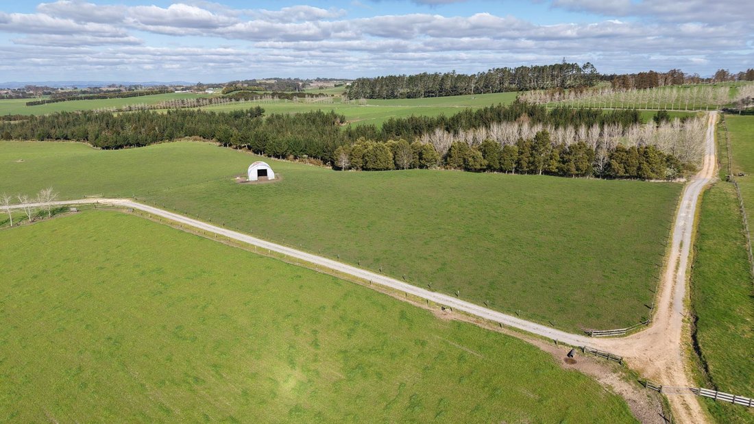 Farm Ranch in Ōkaihau, Northland, New Zealand 3 - 18789029