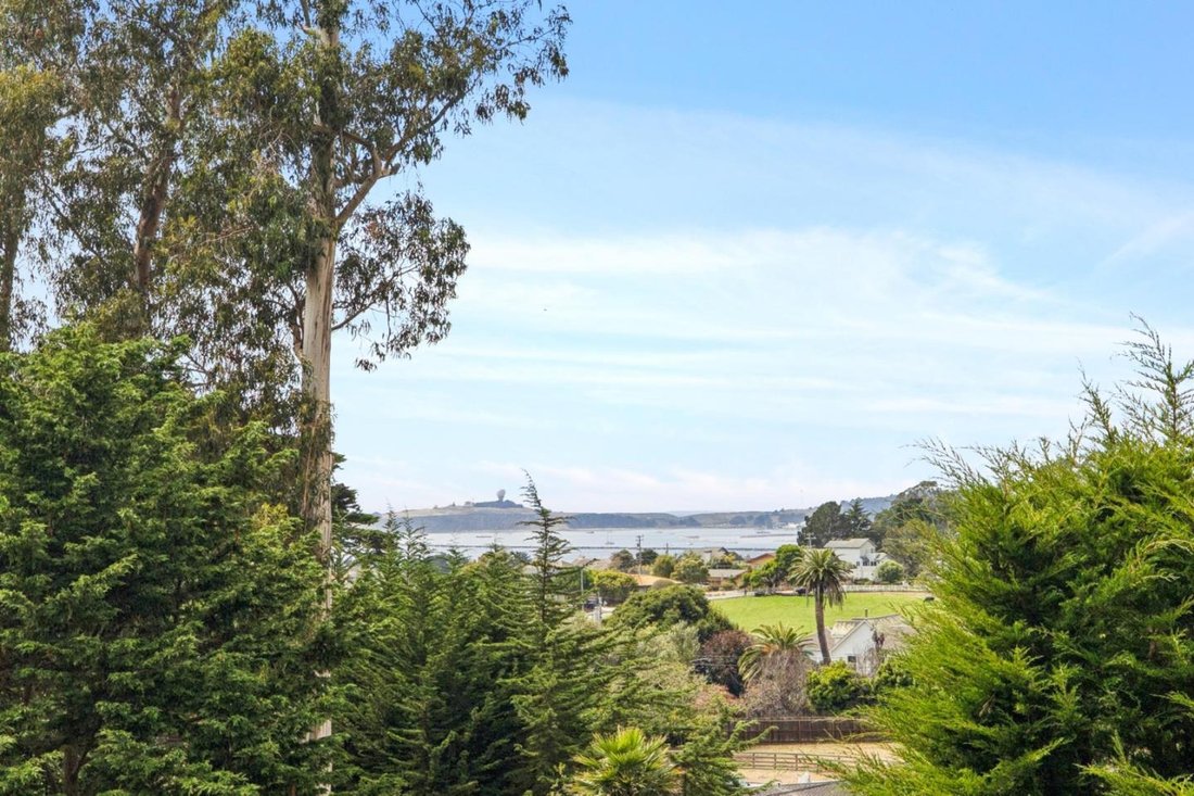 House in Half Moon Bay, California, United States 5 - 18786421