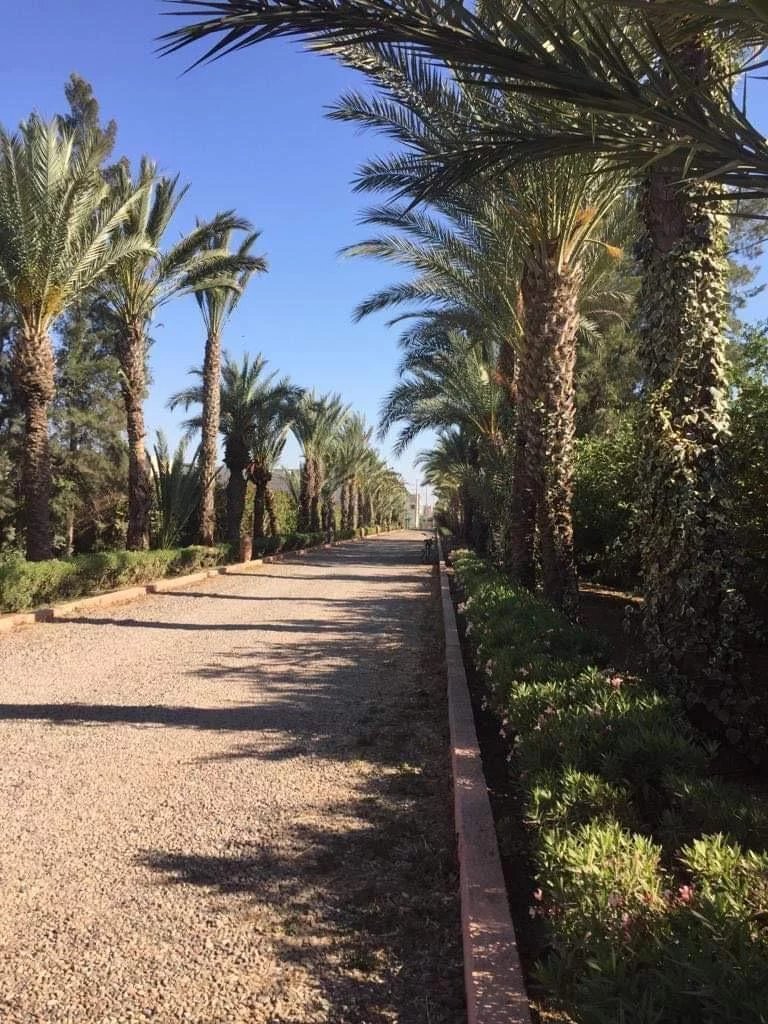Villa in Sidi Moussa Lhamri, Souss-Massa-Draâ, Marokko 2 - 18785164