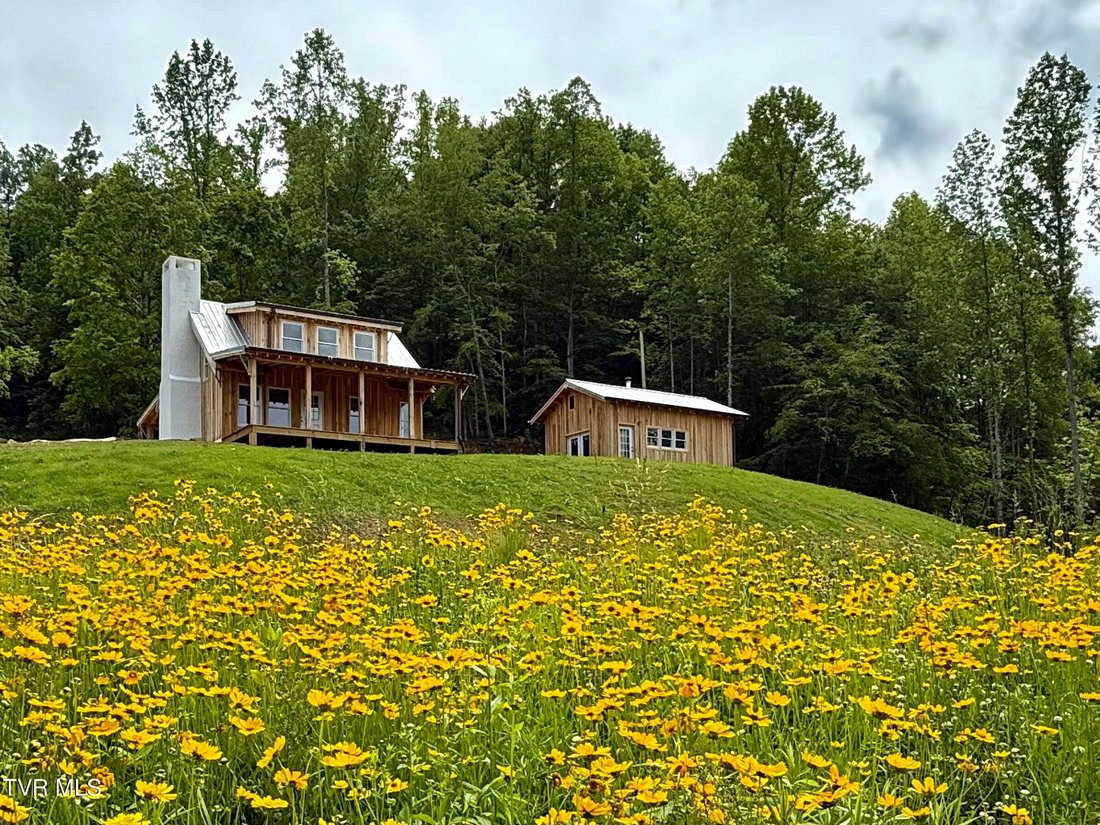 House in Del Rio, Tennessee, United States 1 - 18783829
