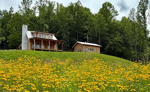 House in Del Rio, Tennessee, United States 1