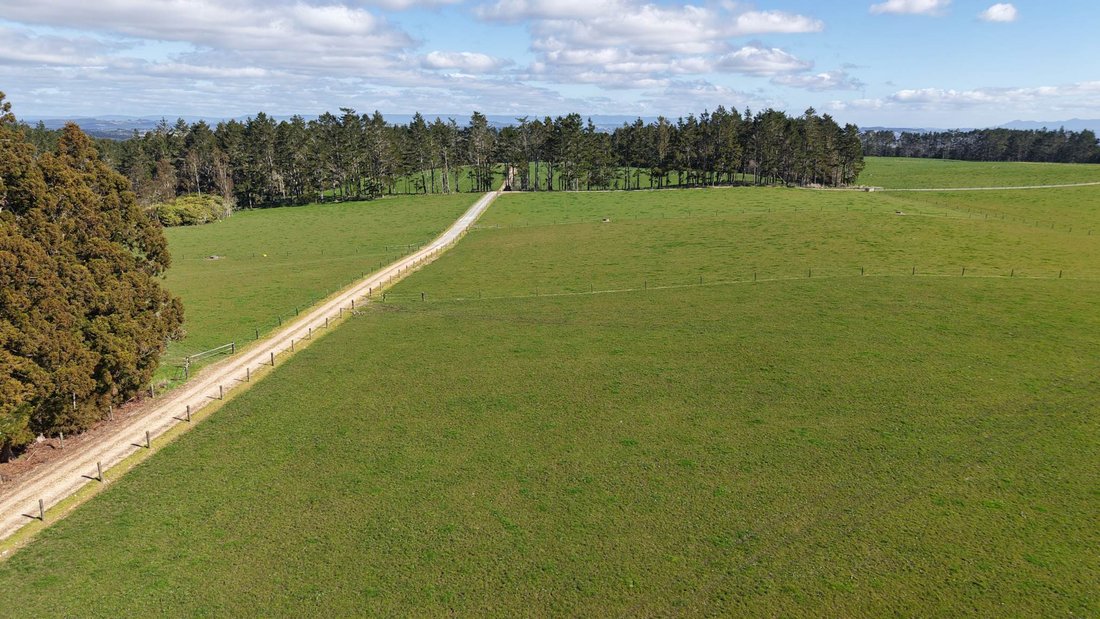 Farm Ranch in Ōkaihau, Northland, New Zealand 3 - 18789027