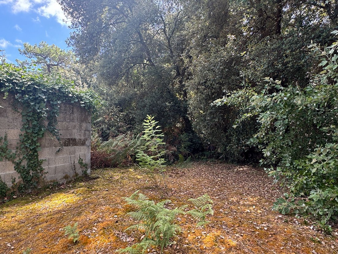 Maison à La Couarde-sur-Mer, Nouvelle-Aquitaine, France 5 - 18787805