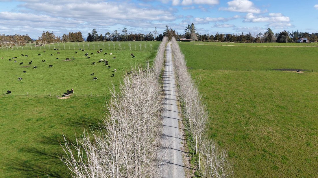 Farm Ranch in Ōkaihau, Northland, New Zealand 1 - 18789029