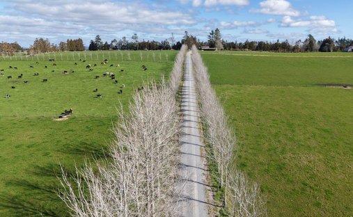 Rancho en Ōkaihau, Northland, Nueva Zelanda 1