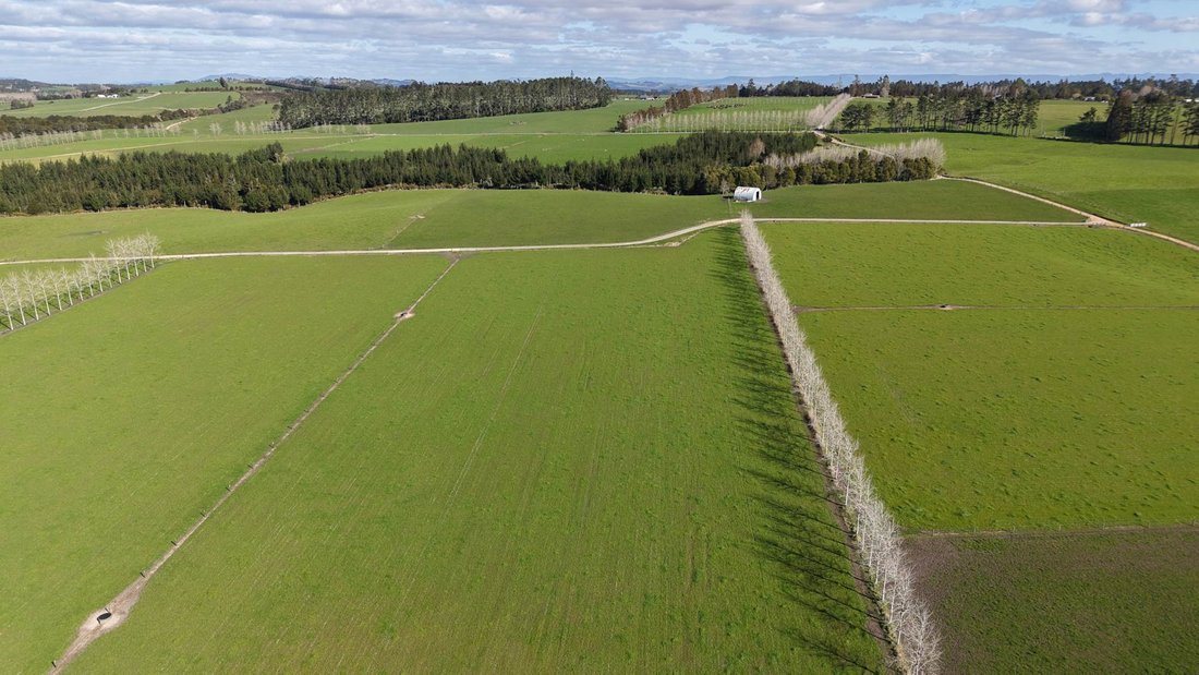 Farm Ranch in Ōkaihau, Northland, New Zealand 4 - 18789029