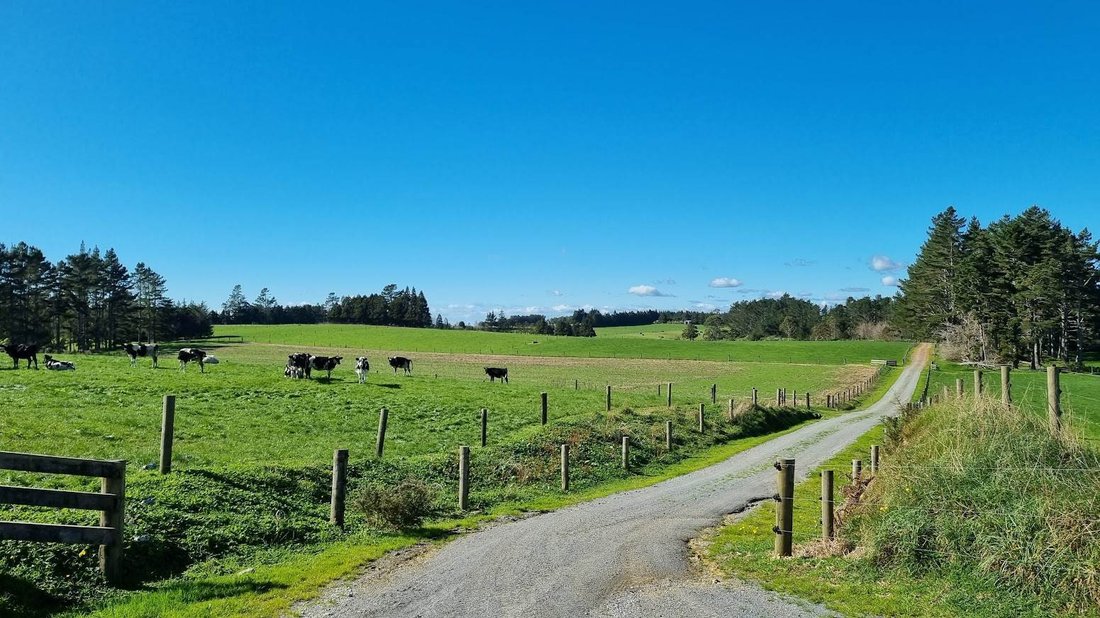 Farm Ranch in Ōkaihau, Northland, New Zealand 4 - 18789027