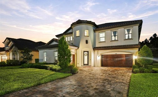 House in Odessa, Florida, United States 1