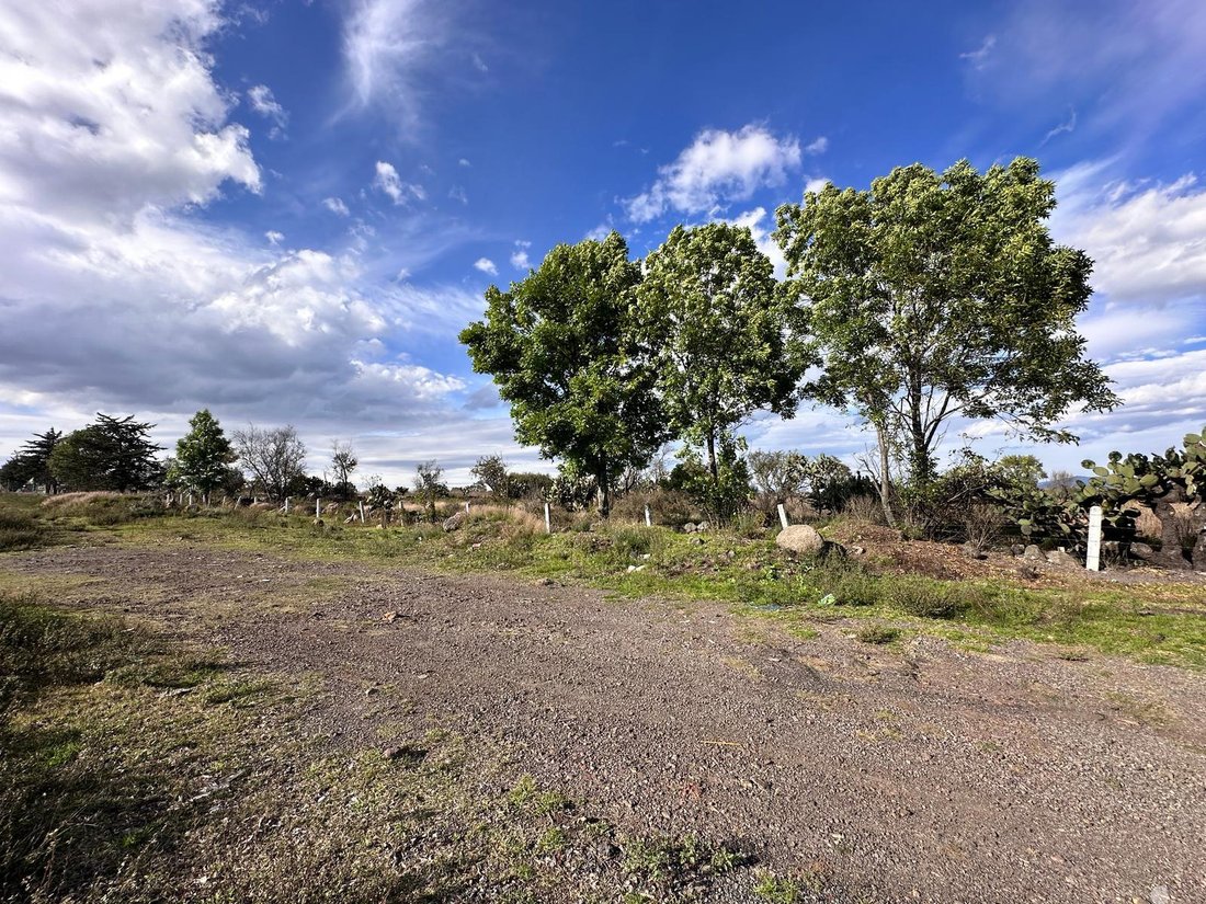 Land in Calpulalpan, State of Mexico, Mexico 1 - 18785308