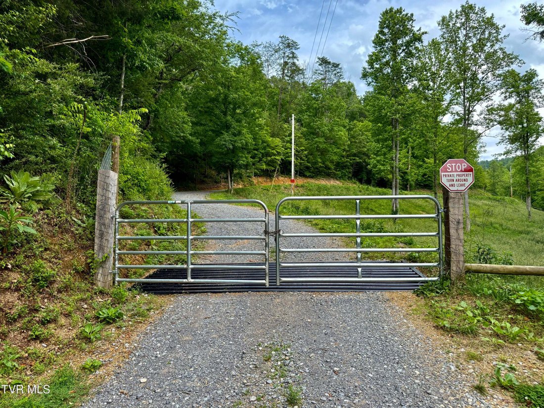 House in Del Rio, Tennessee, United States 4 - 18783829