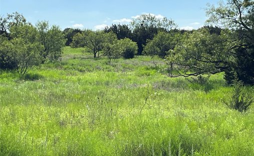 Terreno a Lampasas, Texas, Stati Uniti 1