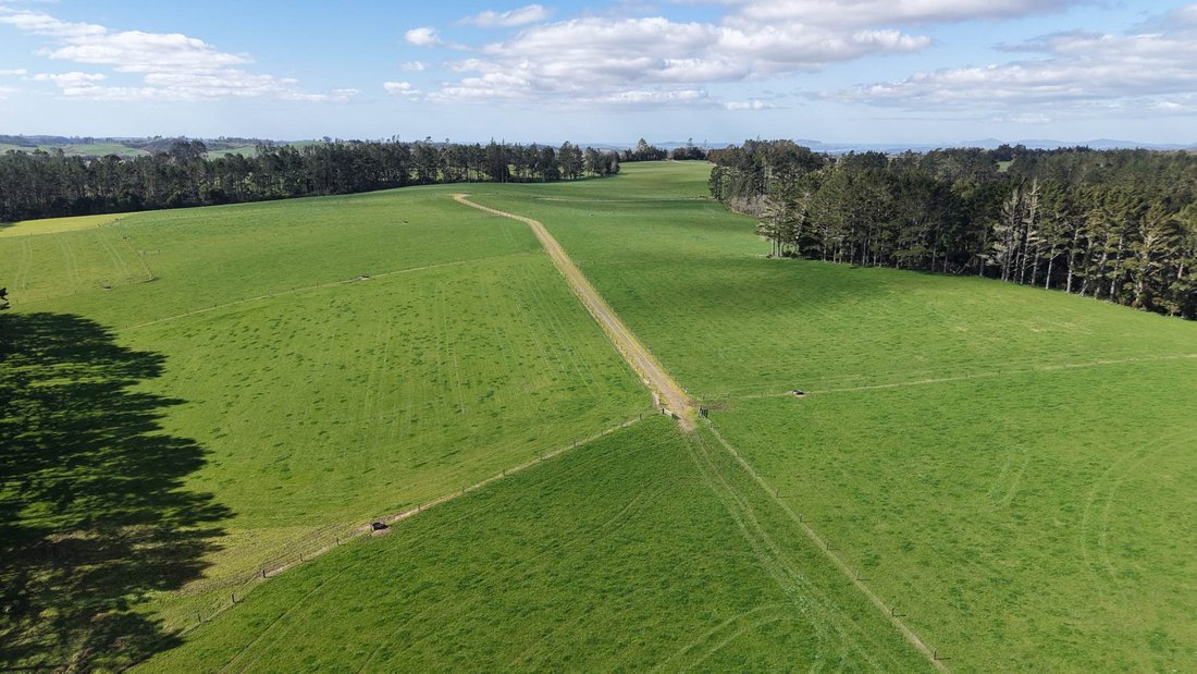Farm Ranch in Ōkaihau, Northland, New Zealand 1 - 18789027