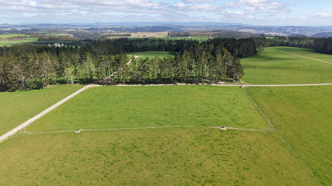 Farm Ranch in Ōkaihau, Northland, New Zealand 5 - 18789027