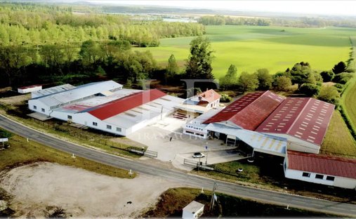Sermaize-les-Bains, Gran Este, Francia 1