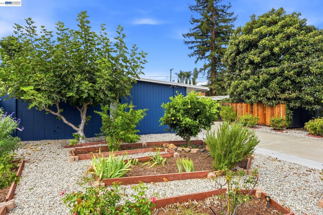 Casa a San Jose, California, Stati Uniti 5 - 18786384