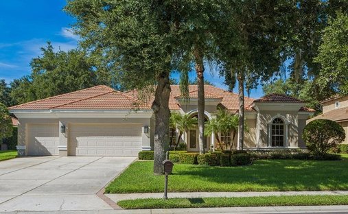 Haus in Trinity, Florida, Vereinigte Staaten 1