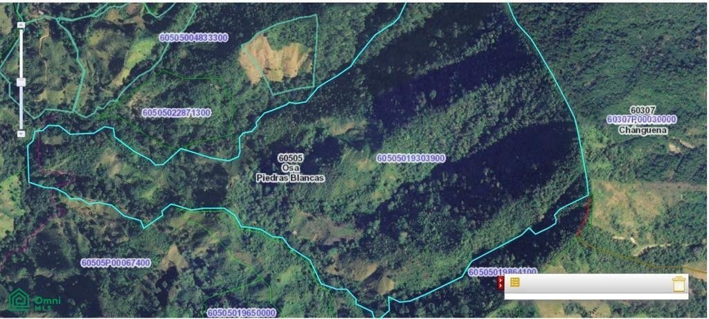 Terreno en Fila, Provincia de Puntarenas, Costa Rica 3 - 18786781