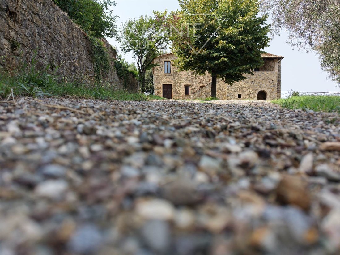 Farm Ranch in Montalcino, Tuscany, Italy 2 - 18002230