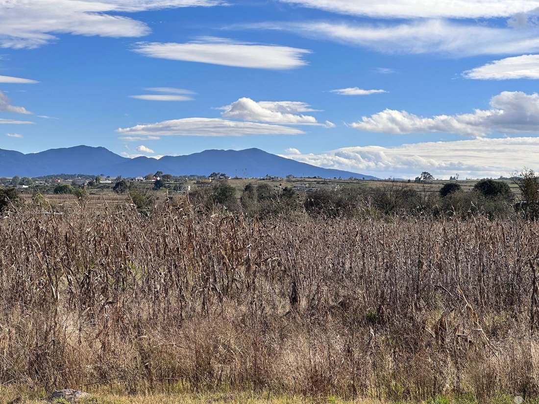 Land in Calpulalpan, State of Mexico, Mexico 4 - 18785308
