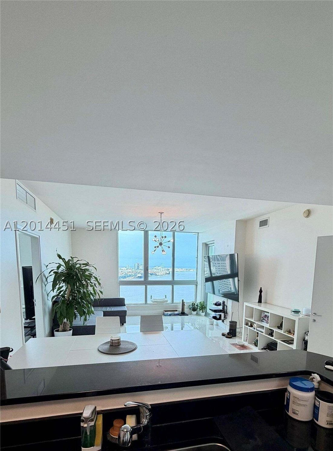 Condo in Miami, Florida, United States 5 - 17909832