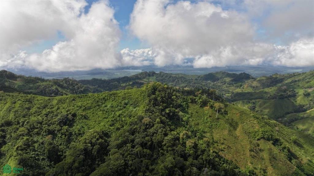 Terreno en Fila, Provincia de Puntarenas, Costa Rica 5 - 18786781