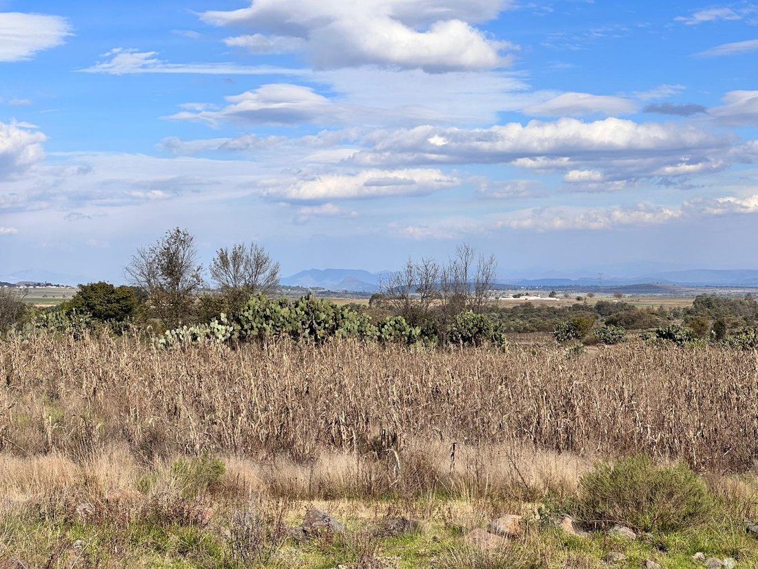 Land in Calpulalpan, State of Mexico, Mexico 5 - 18785285