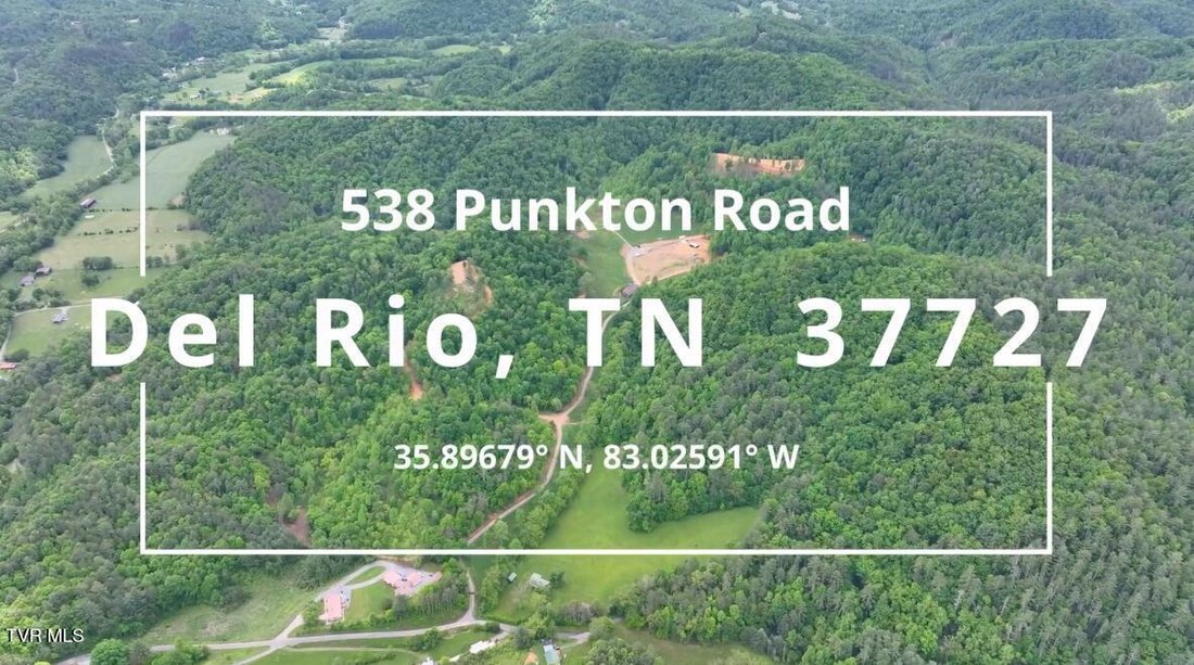House in Del Rio, Tennessee, United States 2 - 18783829