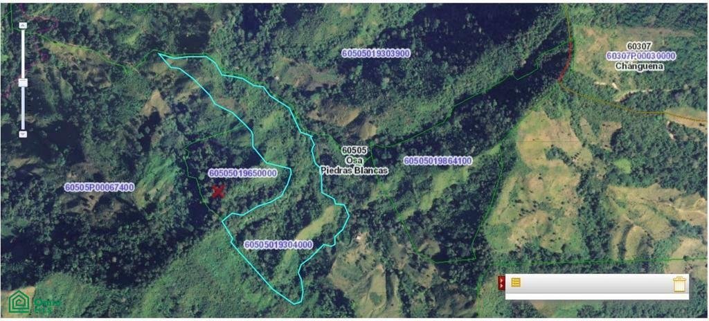Terreno en Fila, Provincia de Puntarenas, Costa Rica 2 - 18786781