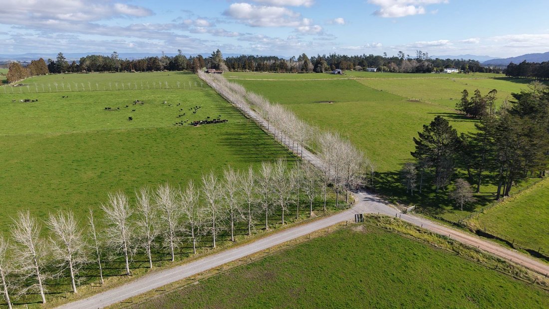 Farm Ranch in Ōkaihau, Northland, New Zealand 2 - 18789029