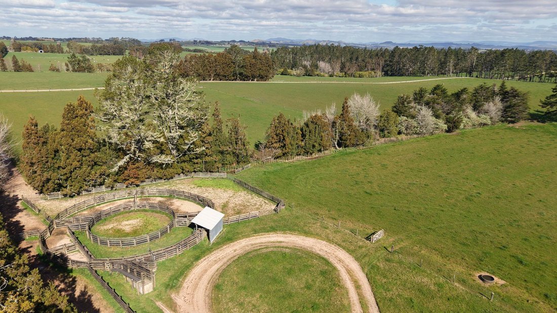 Farm Ranch in Ōkaihau, Northland, New Zealand 2 - 18789027