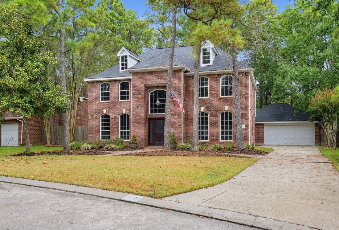House in The Woodlands, Texas, United States 1 - 18787217