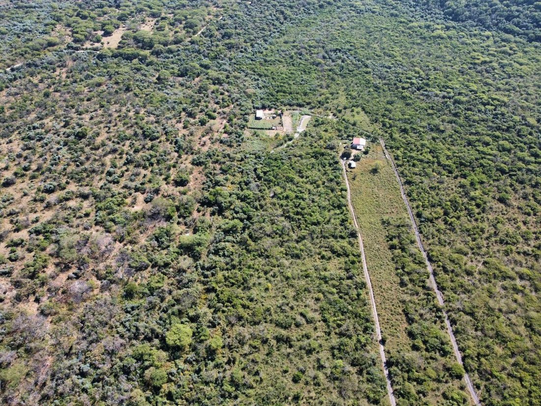 Land in Tetecala, Morelos, Mexico 5 - 18785437