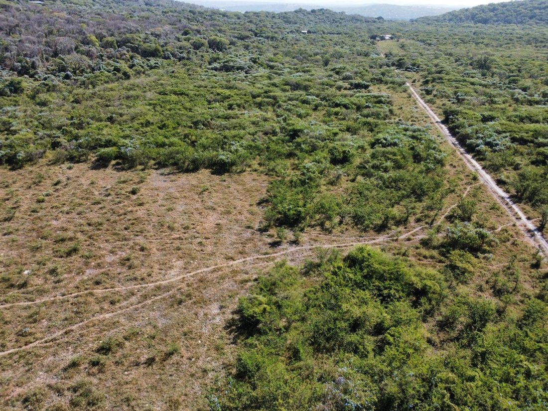 Land in Tetecala, Morelos, Mexico 4 - 18785437