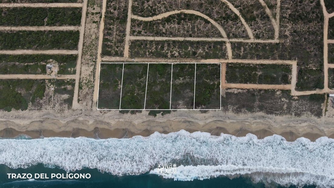 Land in Las Negras, Oaxaca, Mexiko 5 - 18784665