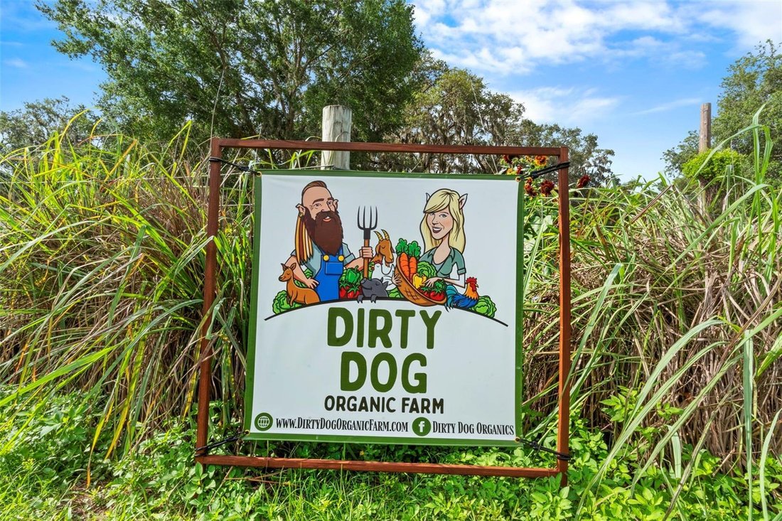 Rancho en Leesburg, Florida, Estados Unidos 2 - 18783633