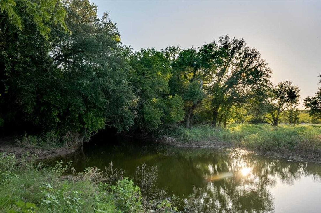 Terrain à Carbon, Texas, États-Unis 3 - 18788897