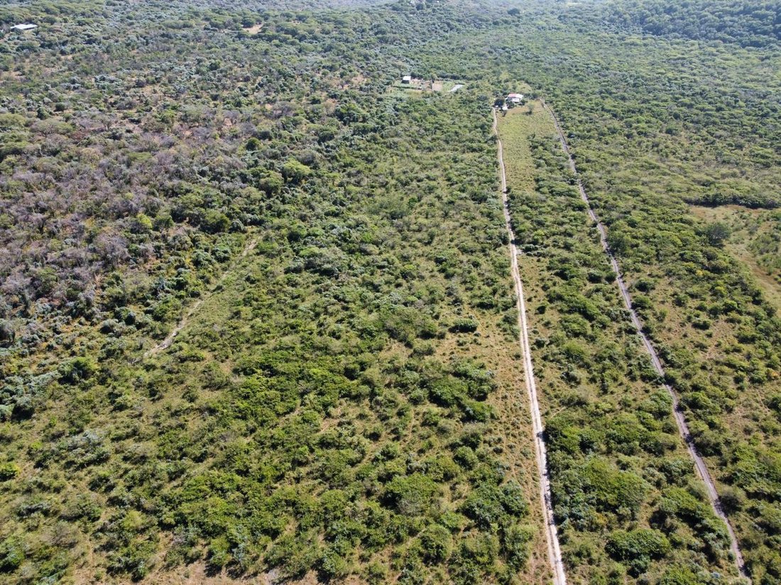 Land in Tetecala, Morelos, Mexico 1 - 18785437