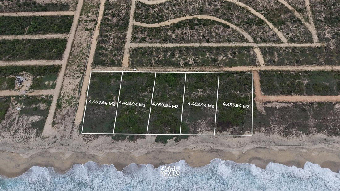 Land in Las Negras, Oaxaca, Mexiko 3 - 18784665