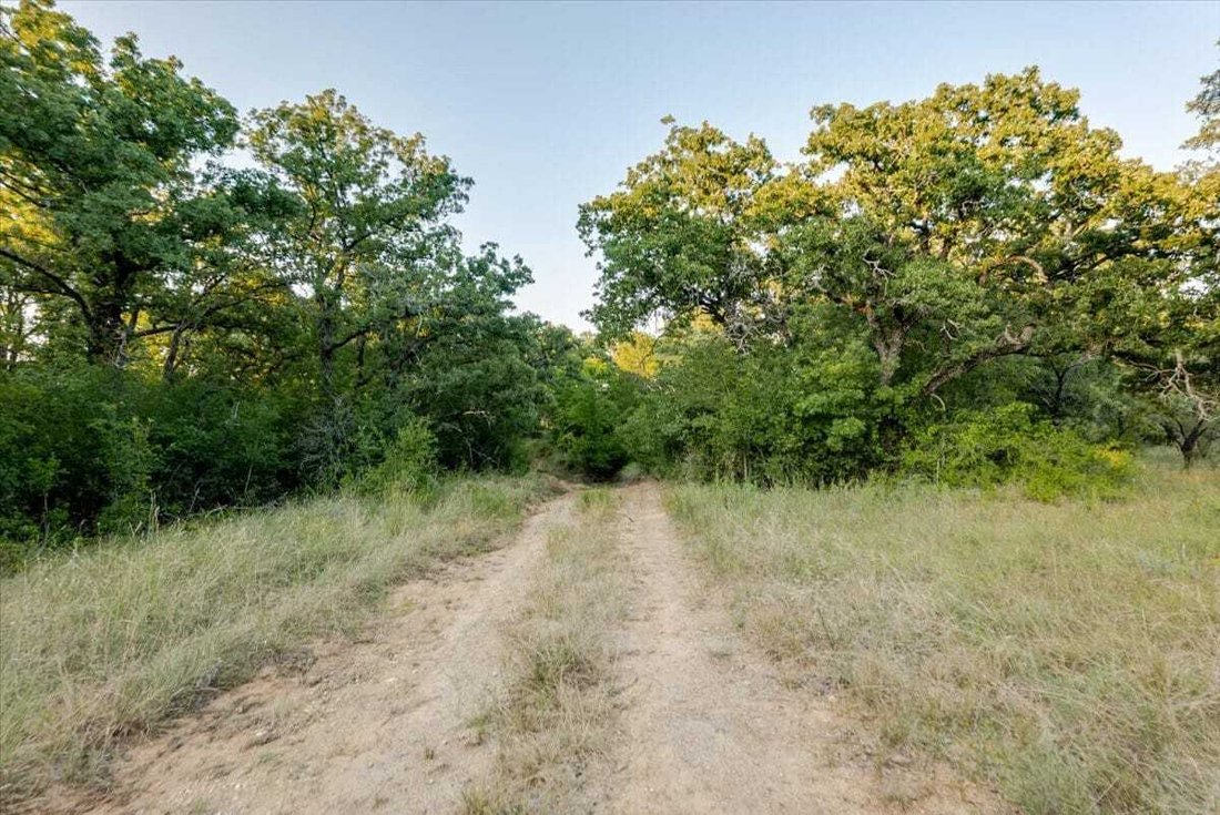 Terrain à Carbon, Texas, États-Unis 5 - 18788897