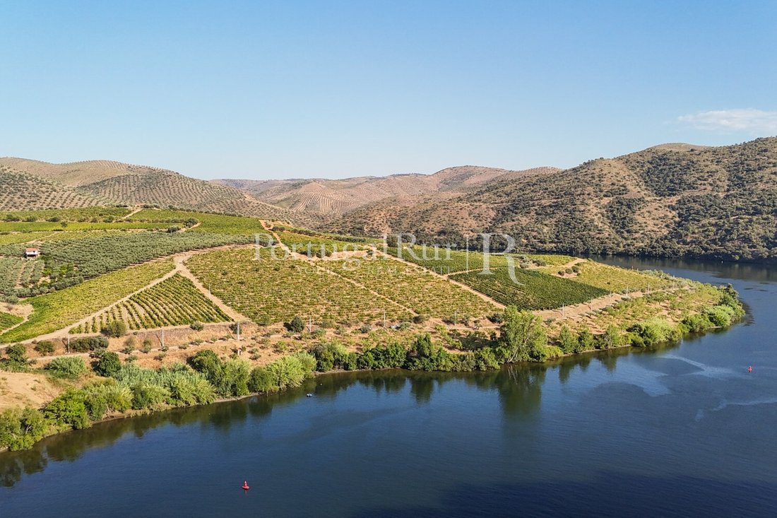 Finca in Urros e Peredo dos Castelhanos, Bragança, Portugal 2 - 18788014