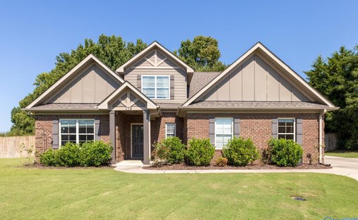 Maison à Madison, Alabama, États-Unis 1