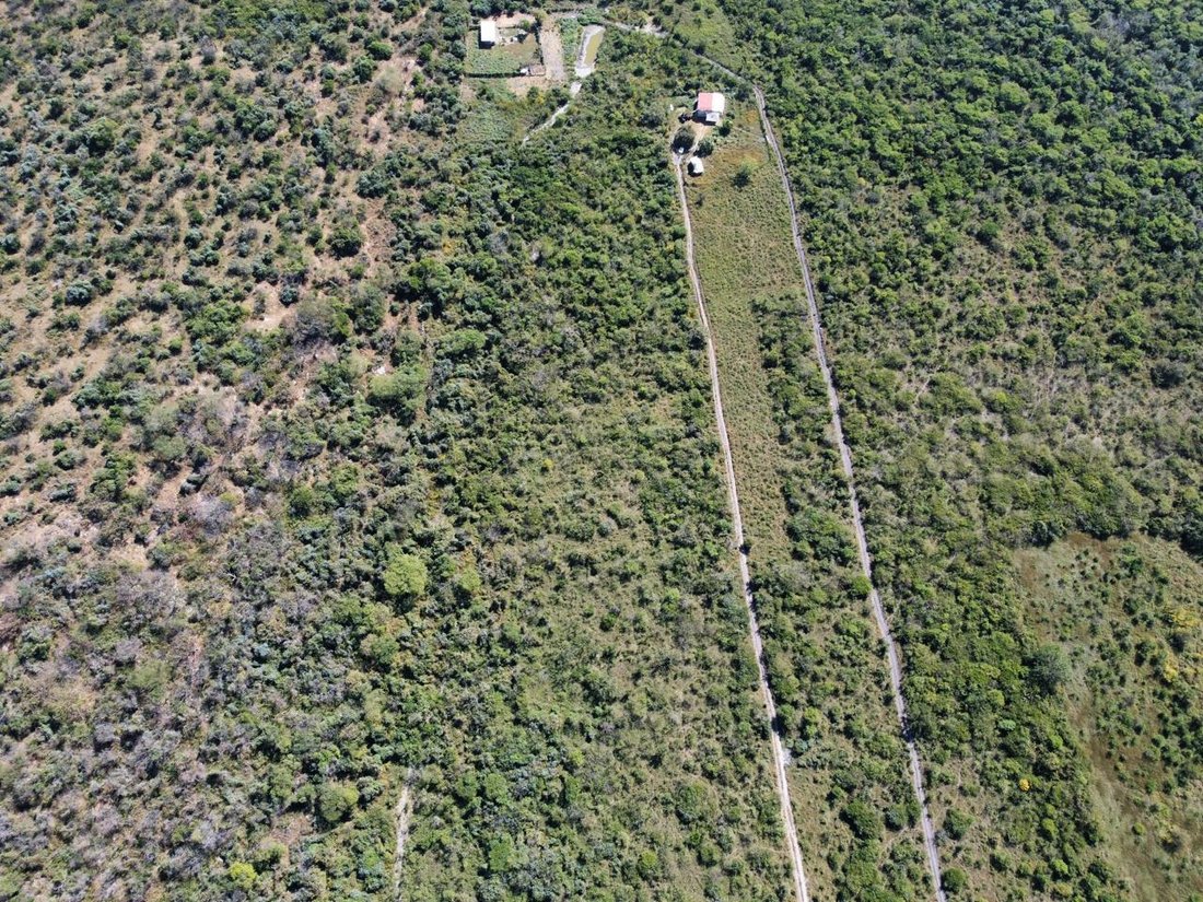 Land in Tetecala, Morelos, Mexico 2 - 18785437