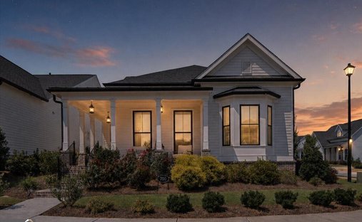 House in Canton, Georgia, United States 1