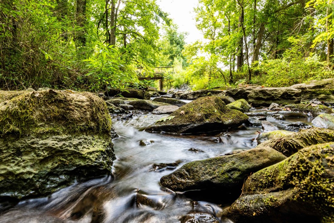 Land in College Grove, Tennessee, United States 5 - 17709646