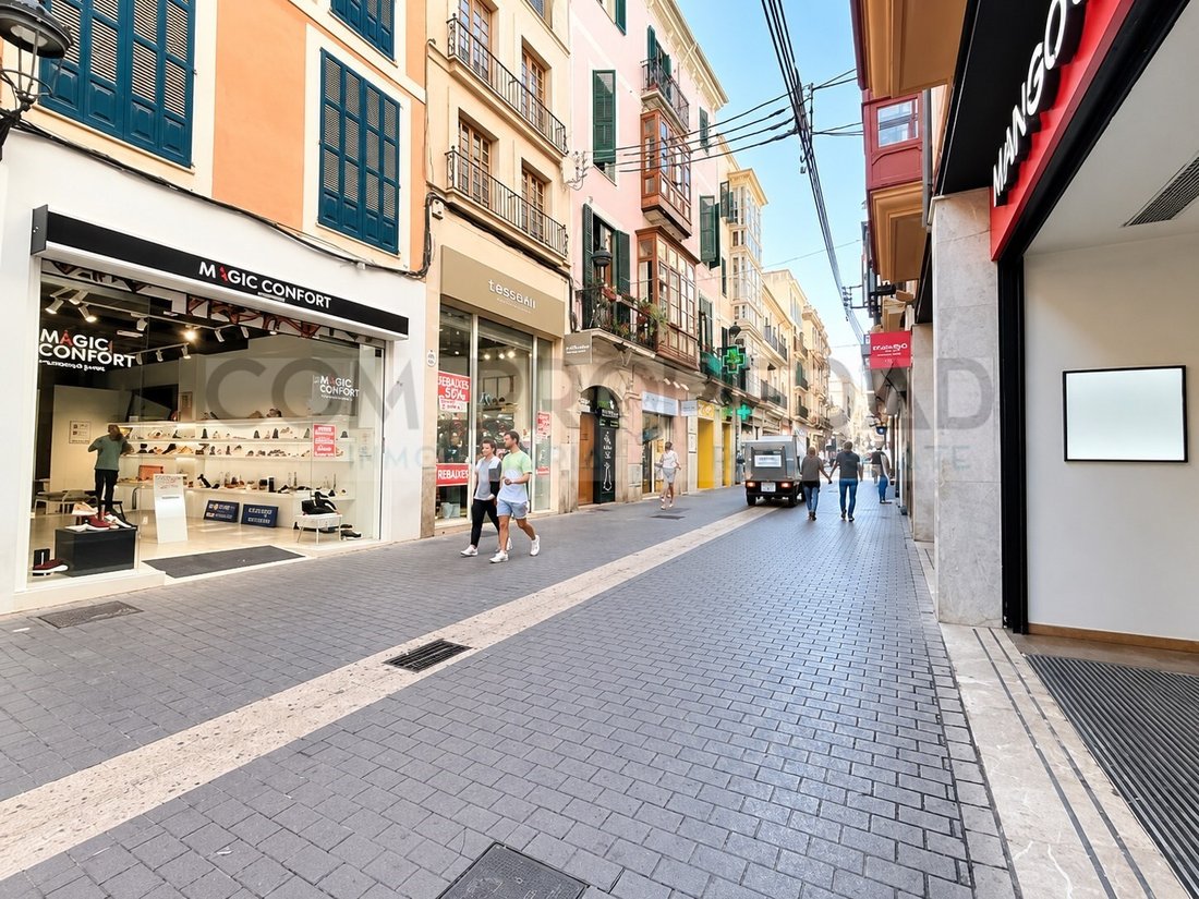Wohnung in Palma, Balearische Inseln, Spanien 1 - 18788061