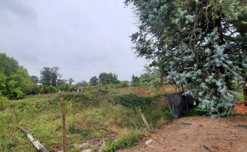 Land in La Lonja, Provinz Buenos Aires, Argentinien 1