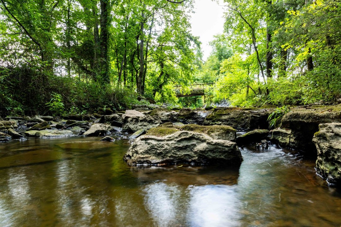 Land in College Grove, Tennessee, United States 4 - 17709646