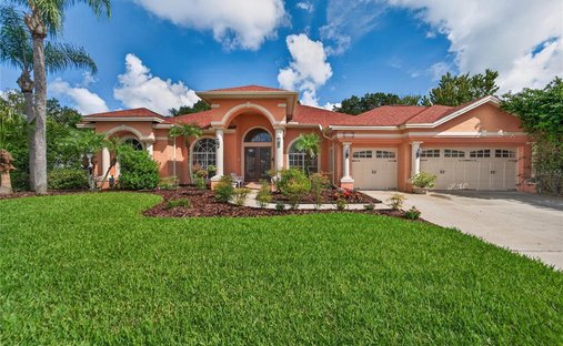 Maison à Trinity, Floride, États-Unis 1