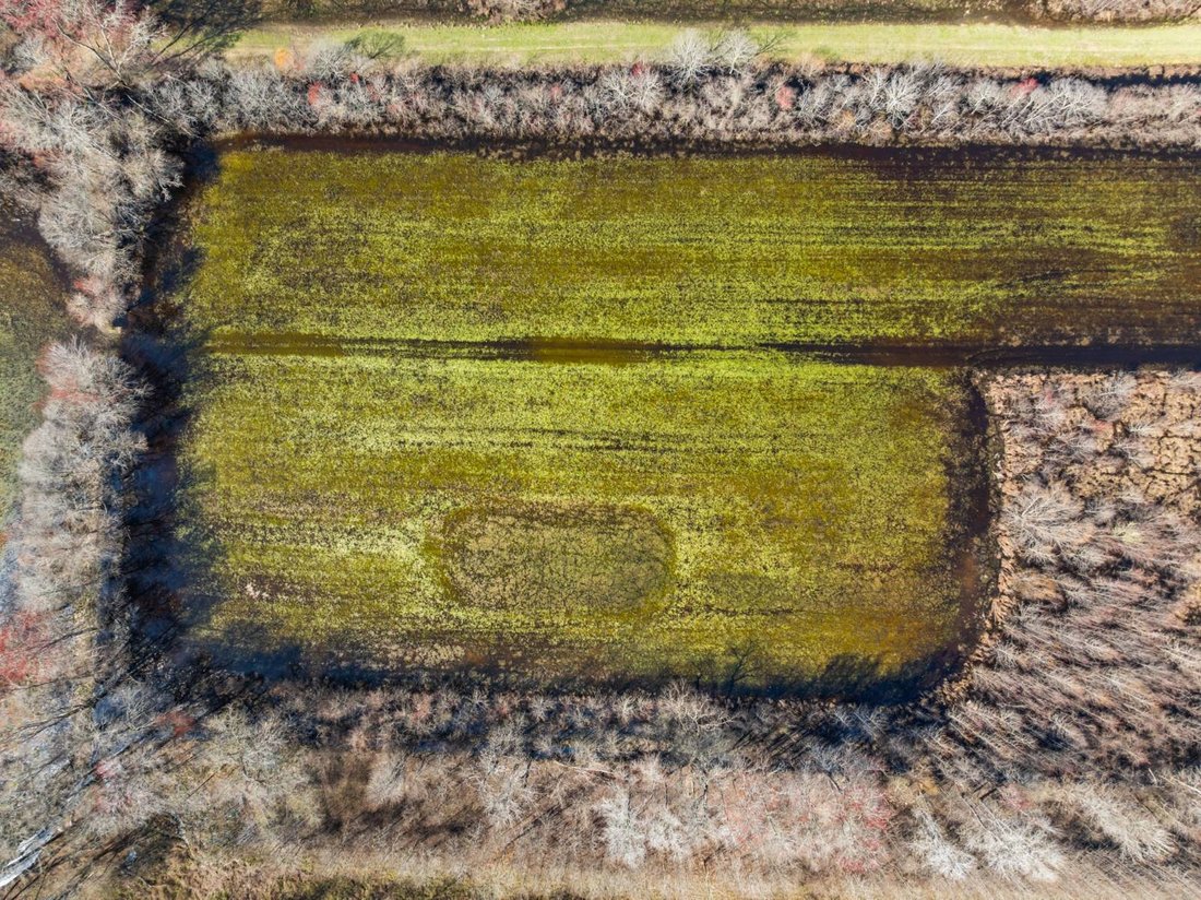 Land in Lugoff, South Carolina, Vereinigte Staaten 5 - 18783505