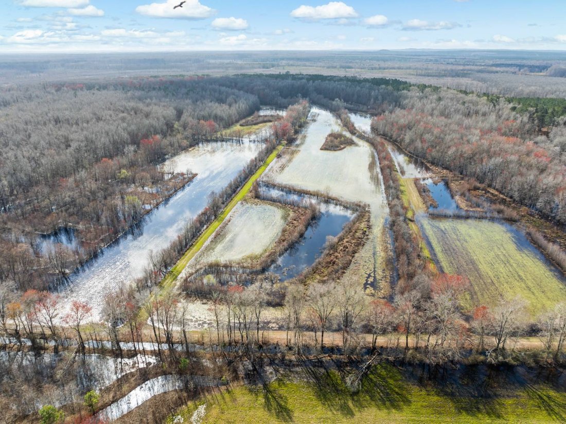 Land in Lugoff, South Carolina, Vereinigte Staaten 1 - 18783505